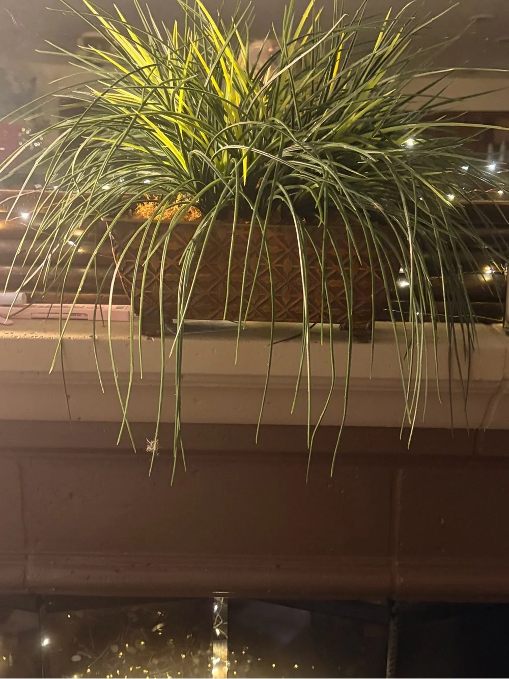 🍃Decorative Green and Yellow Grass Planter